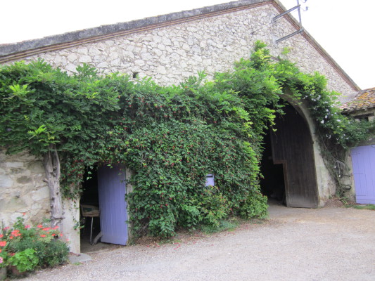 Image redimension&eacute;e IMG_0782.JPG 