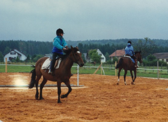 Image redimension&eacute;e img1343577790-0_tiff.jpg 