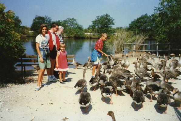 Image redimension&eacute;e DJ  Music-Passion029.jpg 