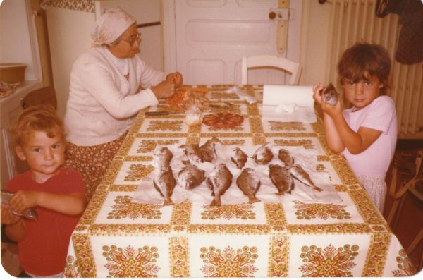 Image redimension&eacute;e poissons morts 2.jpg 