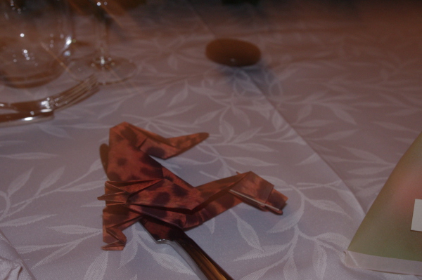 Image redimension&eacute;e IMGP6864.JPG 