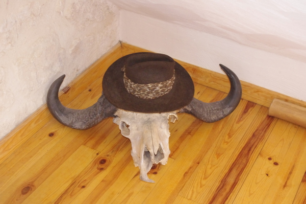 Image redimension&eacute;e IMGP6926.JPG 