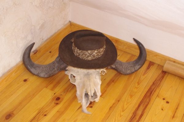 Image redimension&eacute;e IMGP6927.JPG 