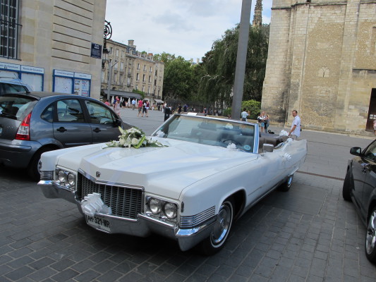 Image redimension&eacute;e IMG_7538.JPG 