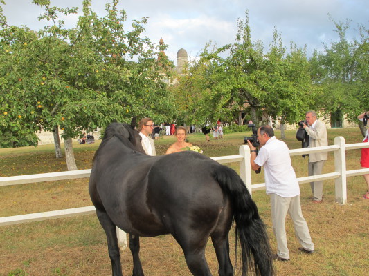 Image redimension&eacute;e IMG_7556.JPG 