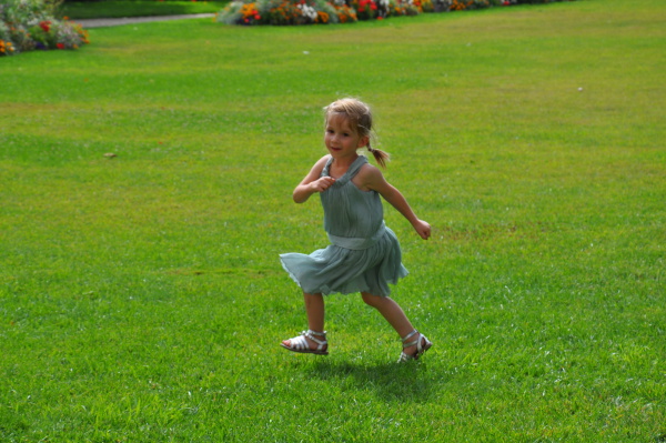 Image redimension&eacute;e DSC_0795.JPG 