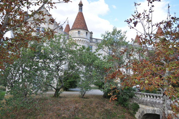 Image redimension&eacute;e DSC_0809.JPG 