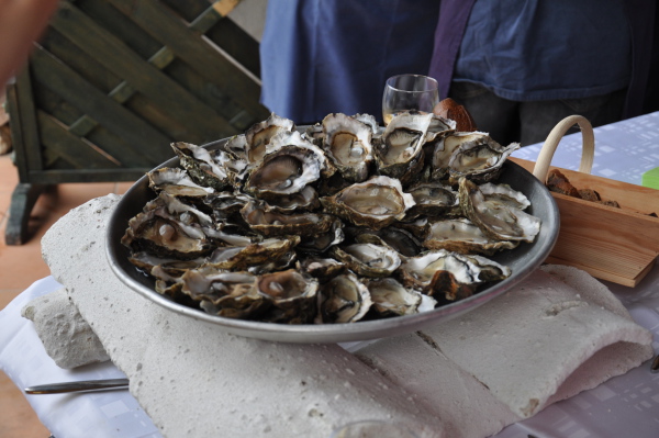 Image redimension&eacute;e DSC_0843.JPG 