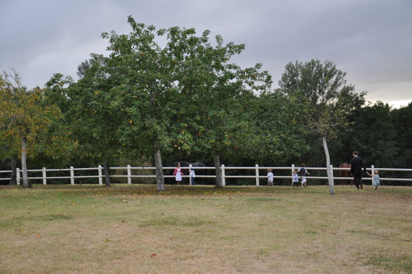 Image redimension&eacute;e DSC_0863.JPG 