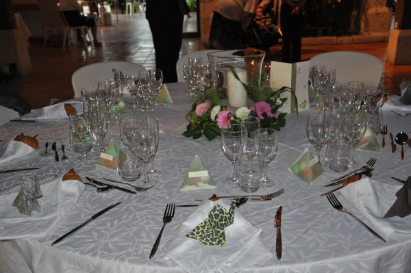 Image redimension&eacute;e DSC_0872.JPG 