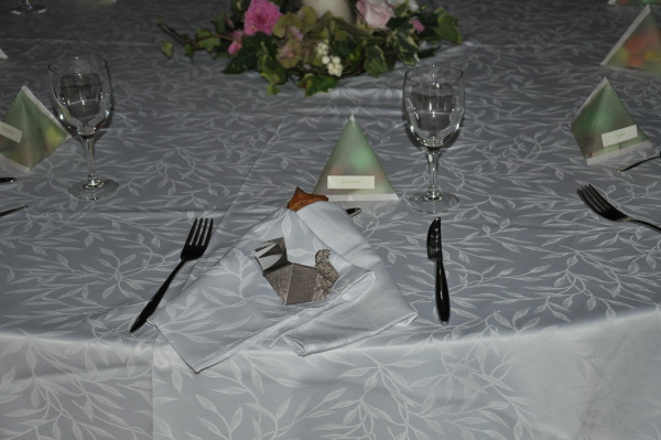 Image redimension&eacute;e DSC_0874.JPG 