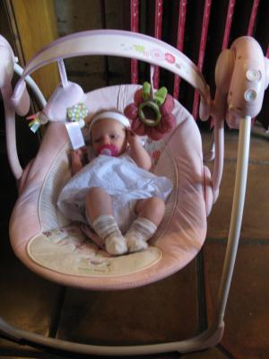 Image redimension&eacute;e IMG_3140.JPG 