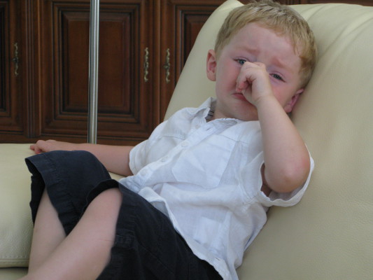 Image redimension&eacute;e IMG_3166-1.JPG 