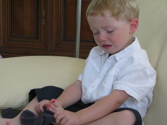 Image redimension&eacute;e IMG_3168-1.JPG 