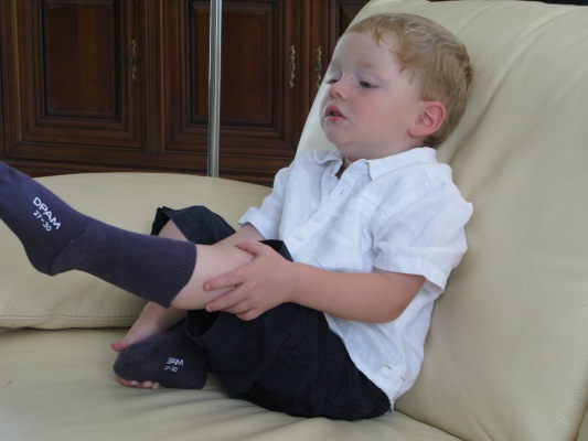 Image redimension&eacute;e IMG_3179-1.JPG 