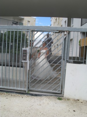 Image redimension&eacute;e IMG_3201-1.JPG 