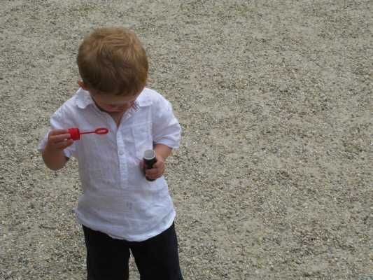 Image redimension&eacute;e IMG_3220-1.JPG 