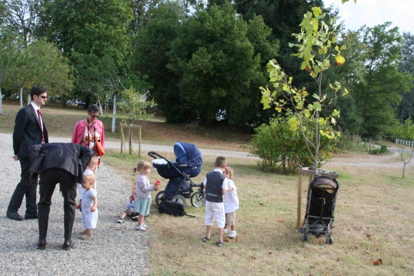 Image redimension&eacute;e IMG_3262.JPG 