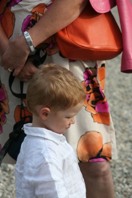 Image redimension&eacute;e IMG_3264.JPG 