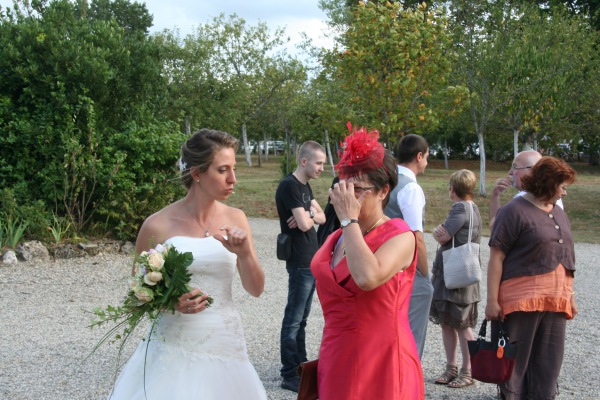 Image redimension&eacute;e IMG_3288.JPG 