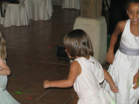 Image redimension&eacute;e IMG_3291-1.JPG 