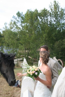 Image redimension&eacute;e IMG_3305.JPG 