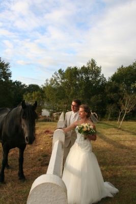 Image redimension&eacute;e IMG_3308.JPG 