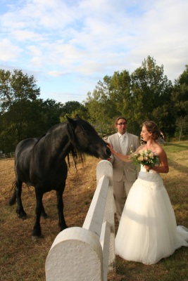 Image redimension&eacute;e IMG_3309.JPG 