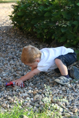 Image redimension&eacute;e IMG_3331.JPG 