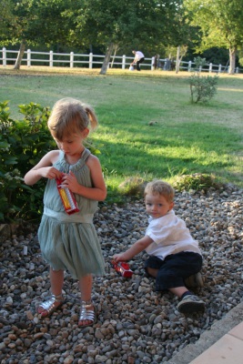 Image redimension&eacute;e IMG_3335.JPG 