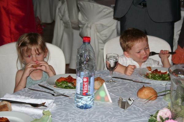 Image redimension&eacute;e IMG_3344.JPG 