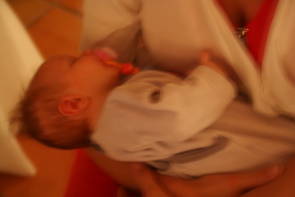 Image redimension&eacute;e IMG_3356.JPG 