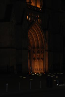 Image redimension&eacute;e IMG_0254.JPG 