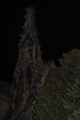 Image redimension&eacute;e IMG_0255.JPG 