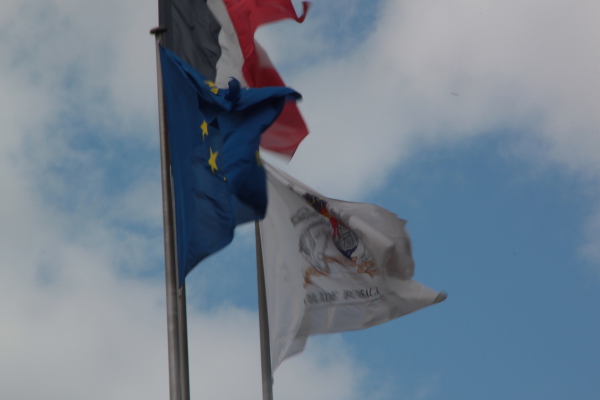 Image redimension&eacute;e IMG_0258.JPG 