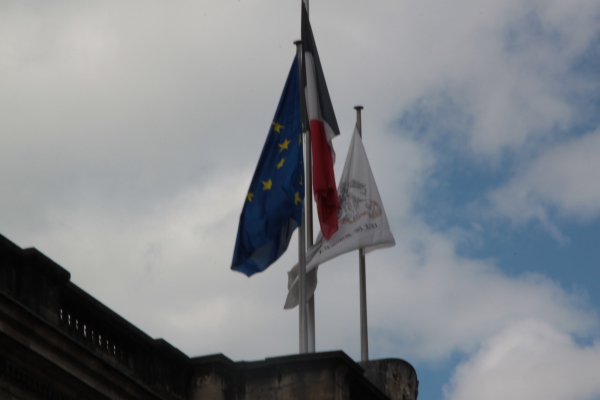 Image redimension&eacute;e IMG_0260.JPG 