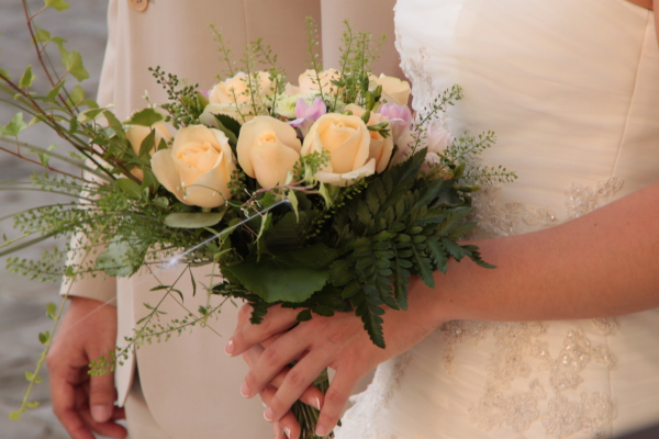 Image redimension&eacute;e IMG_0296.JPG 