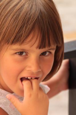 Image redimension&eacute;e IMG_0305.JPG 