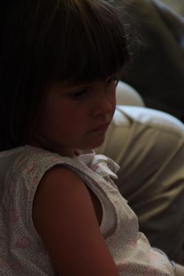 Image redimension&eacute;e IMG_0354.JPG 