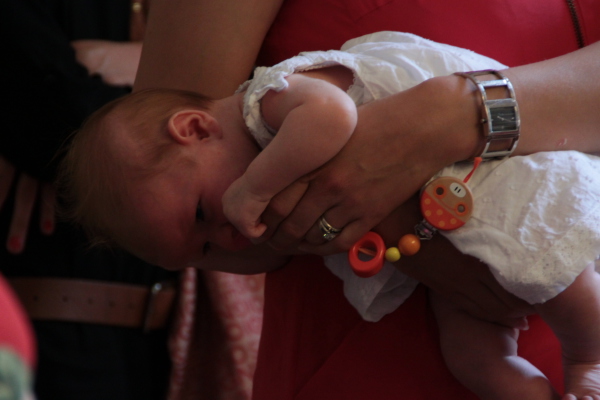 Image redimension&eacute;e IMG_0356.JPG 