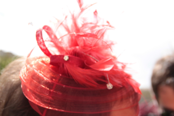 Image redimension&eacute;e IMG_0405.JPG 