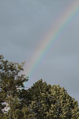 Image redimension&eacute;e IMG_0407.JPG 