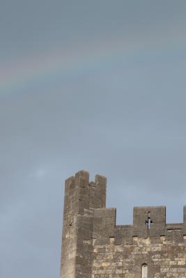 Image redimension&eacute;e IMG_0408.JPG 