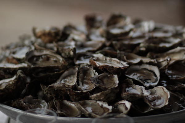 Image redimension&eacute;e IMG_0411.JPG 