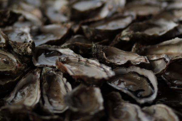 Image redimension&eacute;e IMG_0412.JPG 