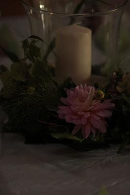 Image redimension&eacute;e IMG_0418.JPG 