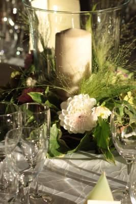 Image redimension&eacute;e IMG_0419.JPG 