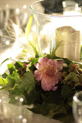 Image redimension&eacute;e IMG_0420.JPG 