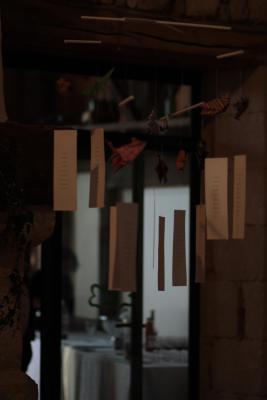 Image redimension&eacute;e IMG_0421.JPG 