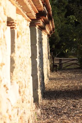 Image redimension&eacute;e IMG_0422.JPG 